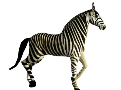 Zebra Rigged and Animated Low-poly 3D model
