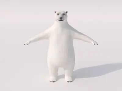Humanoid Polar Bear  3D model