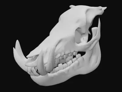 Boar Skull Low-poly 3D model