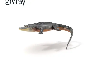 Nile Crocodile Detailed Scale Model Pack Low-poly 3D model