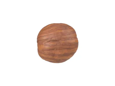 Photorealistic Hazelnut Kernel 3 3D model
