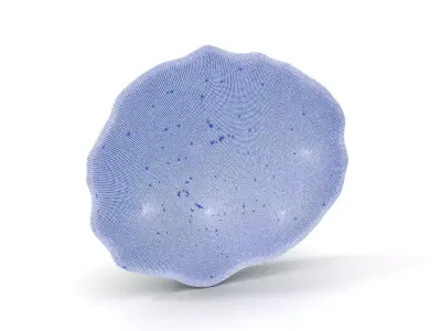 Leafy Green Plate model pack Low-poly 3D model