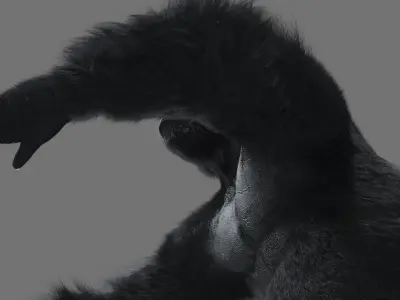 Gorilla-maya gorilla 3D model