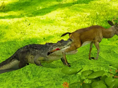 Alligator Attack 4K 3D model