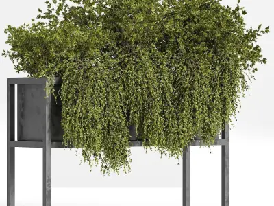 indoor plant set 07 3D model