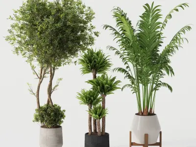 Indoor Plant Set 02 3D model