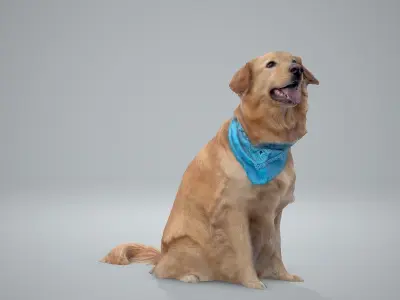 Sitting Dog Labrador Dog0002-HD2-P01-S 3D model