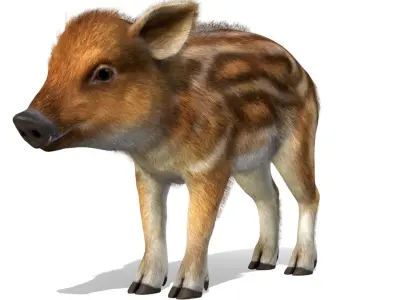 Wild Boar - Young Low-poly 3D model