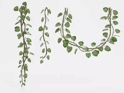 -Liana Plants- 3D model