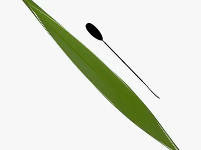 Kayak with paddles 3D model