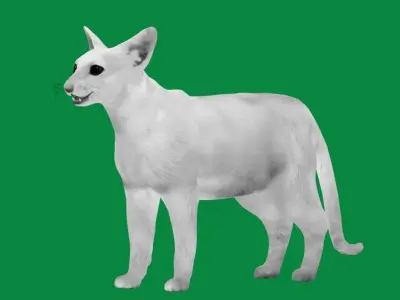 Oriental Longhair Cat Low-poly 3D model