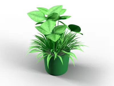 Decorative Pot Clover Low-poly 3D model