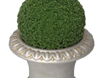 Boxwood in a classical vase for facade decoration 3D model
