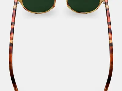 Morgan Sunglasses in Mesa Tortoise Low-poly 3D model