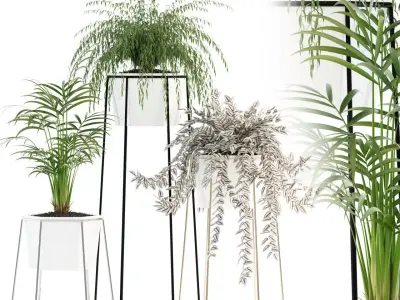 Plants collection 88 3D model