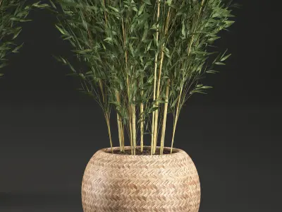 Bamboo Tree for the interior in basket 638 3D model