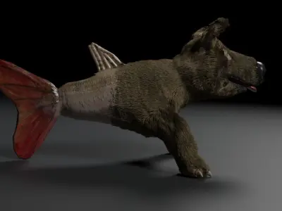 Dogfish dog 3D model