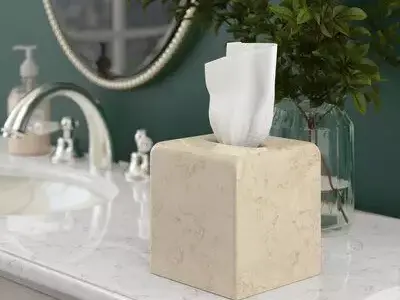 Coro Champagne Magwood Tissue Box Cover Free 3D model