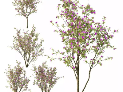 xcellent collection of Outdoor plants 20 Different Models 0053