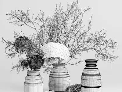 Bouquet plant pampas dry hogweed in a Indian wood Low-poly 3D model