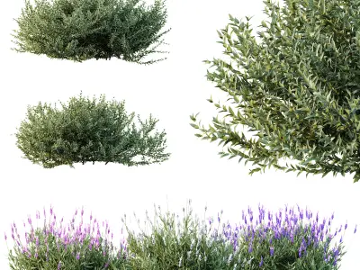 AV 14 Different sets of spring and summer shrubs 3D Model Collection