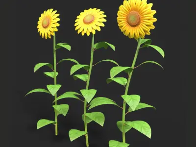 Sunflower Plant Low-poly 3D model
