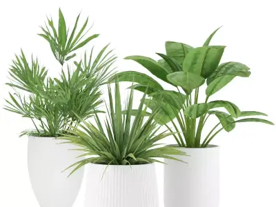 Plant-Set-001 plant in pot Free 3D model