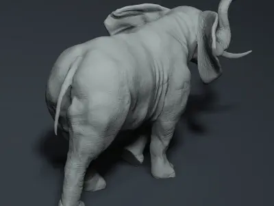 Realistic Elephant High-poly 3D model