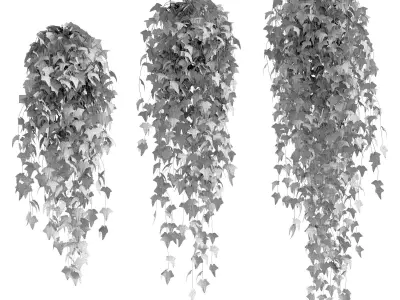 Set of 3 pots ivy models on the shelves 3D model