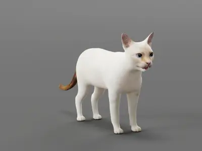 Flame Point Red Siamese Cat Low-poly 3D model