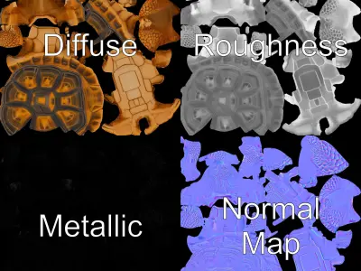 Realistic Tortoise D Model Pack with Detailed Textures Low-poly 3D model