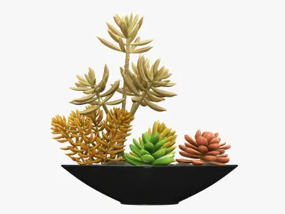 Potted plant decorative 06 3D model