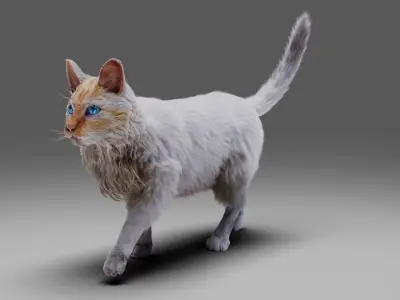 Fur Cat White Rigged Low-poly 3D model
