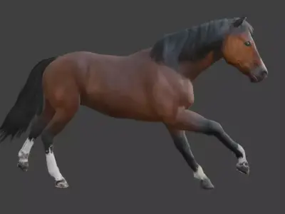 Animated Brown Horse  3D model
