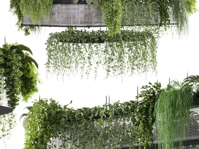 indoor plants - 62 Hanging indoor plant 3D model