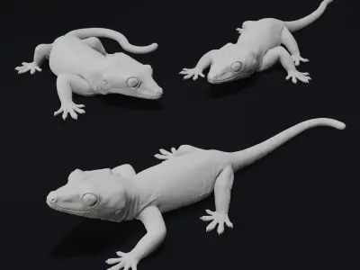 Gargoyle Gecko Pet Reptile 3D Print Model 3D print model