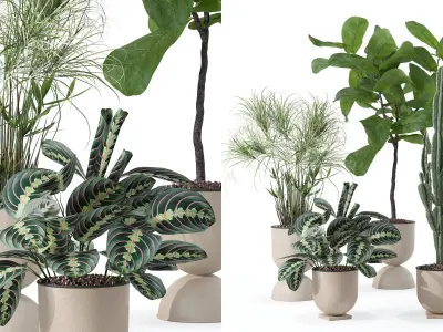 Plants collection 125 3D model