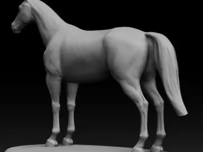horse 3D model