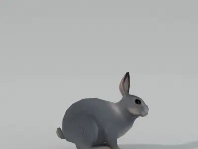 Grey Rabbit Low-poly 3D model