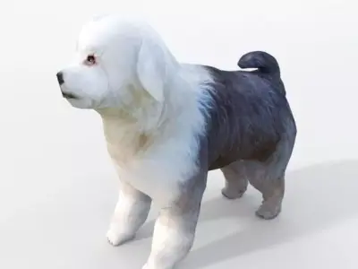 Old English Sheepdog Low-poly 3D model