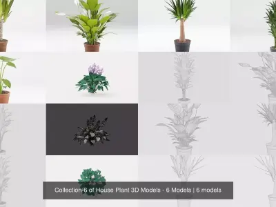 Collection-6 of House Plant 3D Models - 6 Models