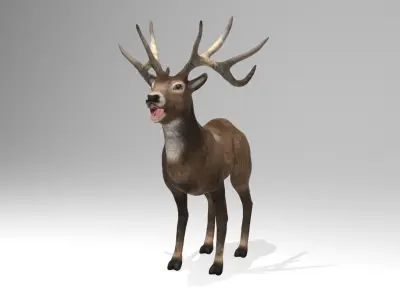 This model Deer 3D model