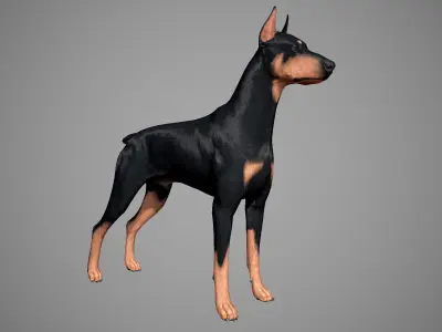 Doberman Real-Time Low-poly 3D model