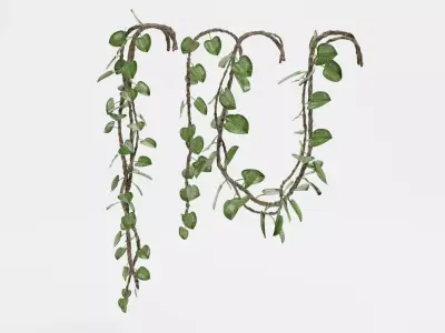 -Liana Plants- 3D model