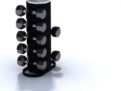 Sports Weight Collection Equipment 3D model
