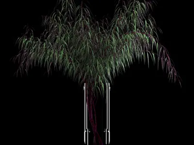 Agonis plant in glass vase 3D model