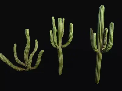 Stylized cactus large low poly  Low-poly 3D model
