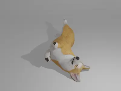 Welshcorgi corgi 3D model