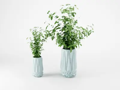 DECORATIVE PLANTS IN POTS 3D model