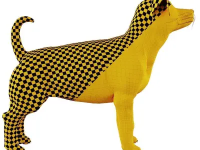 Jack Russell Terrier 3D model